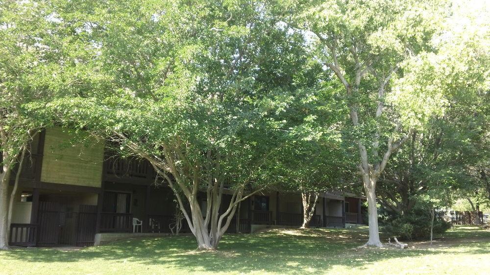 Bonnie Springs Ranch Motel Blue Diamond Экстерьер фото