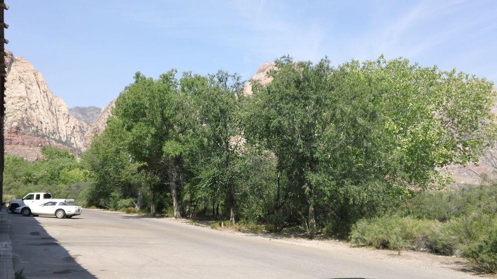 Bonnie Springs Ranch Motel Blue Diamond Экстерьер фото